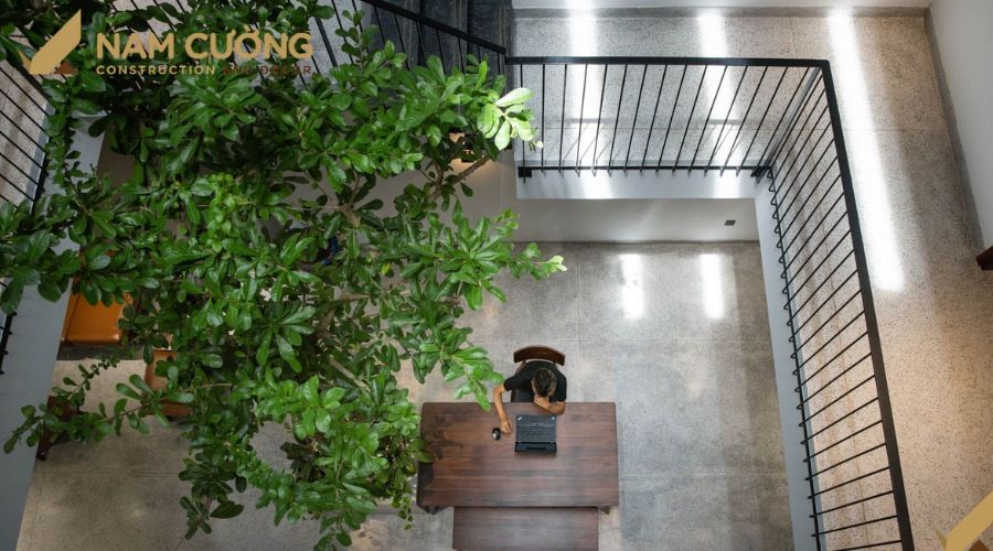 Cây thân gỗ trồng trong nhà phố hiện đại