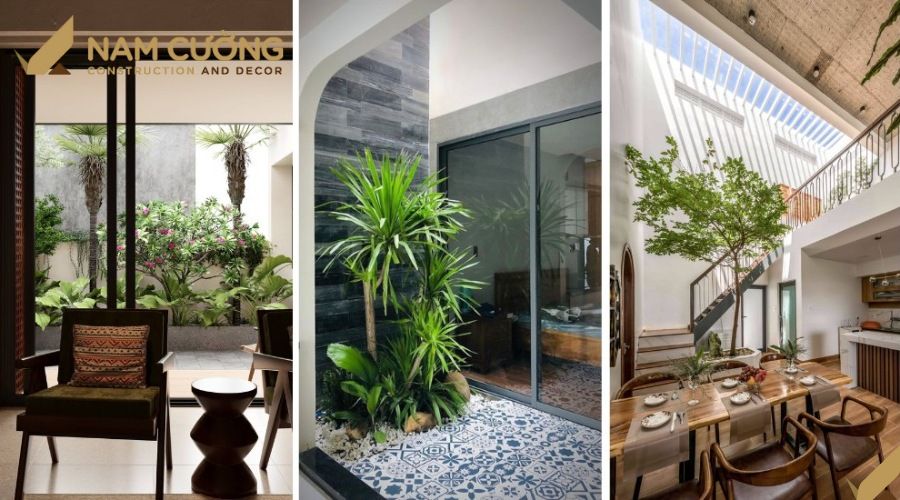 Lưu ý khi trồng cây thân gỗ trong nhà phố